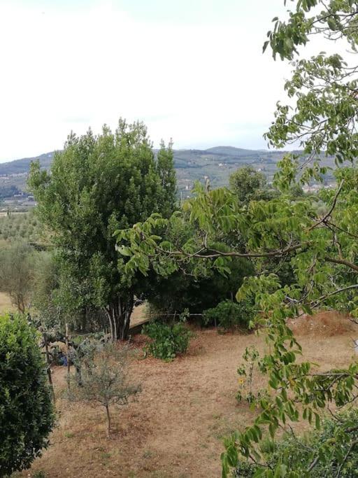 I Rosai Appartamento Sulle Colline Fiorentine Bagno A Ripoli Ngoại thất bức ảnh